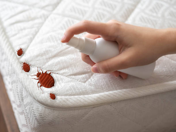 Flea Control Services in Stanaford, WV