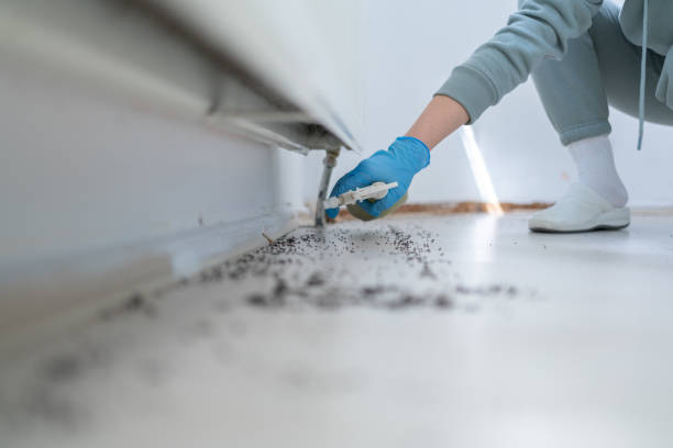 Best Rodent Control Near Me  in Stanaford, WV